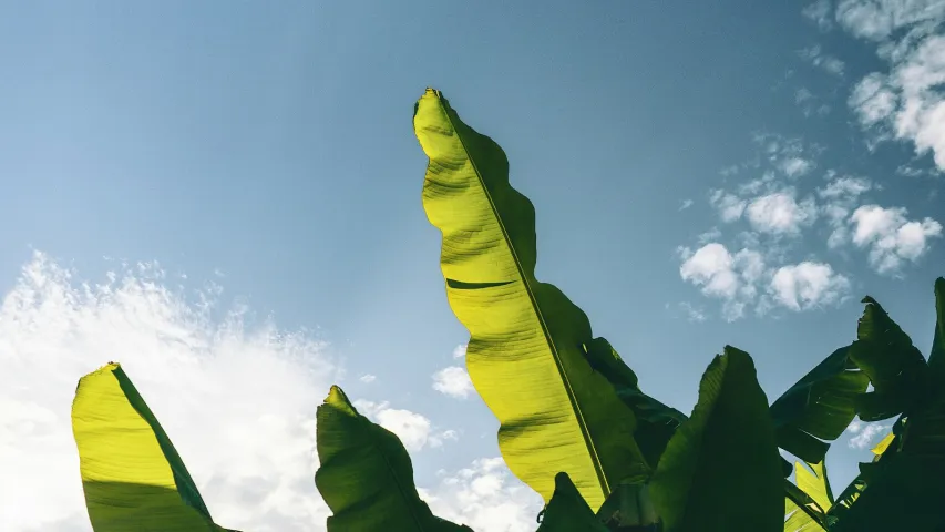 A Brief Treatise on the Colour of Tuesdays